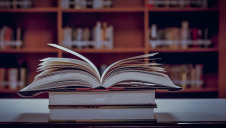 There is a plethora of books written by some of the sharpest minds in the sustainability sphere.